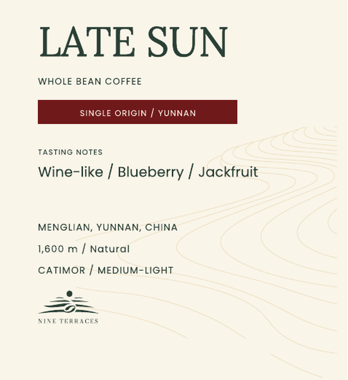 LATE SUN