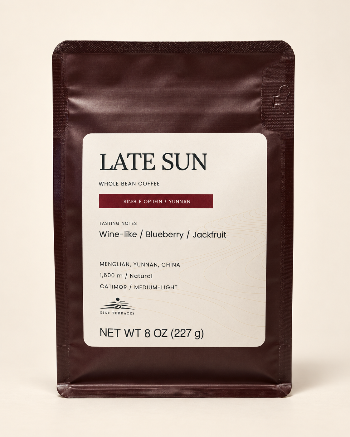LATE SUN